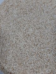 White Humera Sesame Seed - Image 1