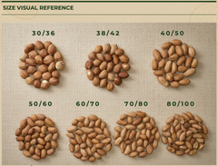 Raw Peanuts (Whole or Splits) – product photo 1, product detail gallery