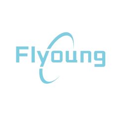 Shenzhen Flyoung Technology Co., Ltd.