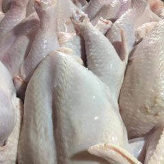 Frozen Chicken Parts - Image 1