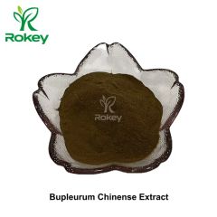 Premium Herbal Extract for Wellness Support Bupleurum Chinense Extract, Bupleurum Root Extract - Changsha Rokey Biotechnology Co., Ltd.