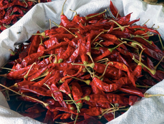 Red Chili Powder – product photo 5, product detail gallery