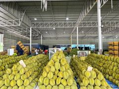 Durian – product photo 3, product detail gallery
