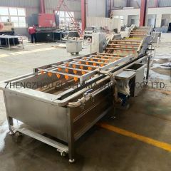 Top Quality Fruit and Vegetable Processing Line Potato Cleaning Machine - Image 6