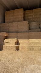 Hay Grass - Image 2