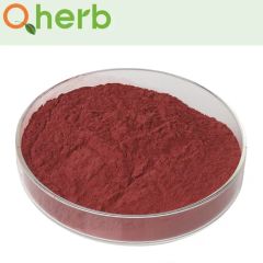 Food Additive Monascus Color Red - Image 4