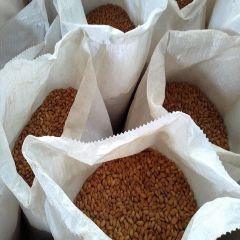 Cheap Price Wholesale Almond Nuts For Sale In bulk – product photo 3, product detail gallery