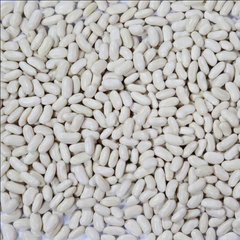 White Kidney Beans