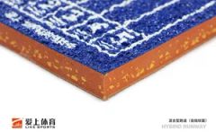 Preferred Brand Shock Absorbent Rubber Running Track for Key Universities - Image 5