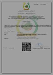 Export licence certificate from Maple Grower's & Exporters Ltd