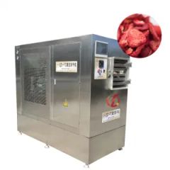 Qiangda Industrial Fruit Freeze Dryer Affordable Vegetable Freeze Drying Food Vegetable Dryer Machine - Zhucheng Qiangda Machinery Factory