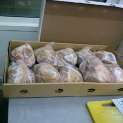 Halal Chicken Feet / Frozen Chicken Paws Brazil / Fresh Chicken Wings and Feet and Paws - Image 2