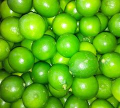 seedless lemon CHEAPEST PRICE Export quality Seedless lemon from Vietnam of the highest quality FREE TAX - Image 6