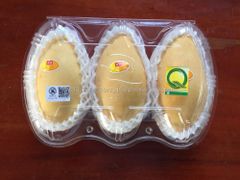 Fresh Mango "Nam Dok Mai" Yellow Mango High Quality From Thailand - Image 6