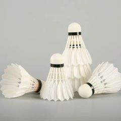 Training Badminton Shuttlecock 60 Model - Image 1