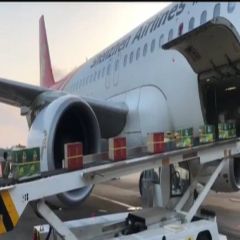 Comprehensive Air/Sea Freight Forwarding From China to Riyadh with Price Minimization - Image 6