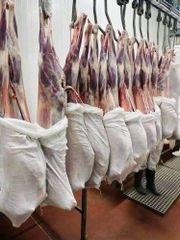 Whole chilled Mutton Grade No 1 Flavor Rich Appearance Whole Texture Succulent Origin Farm Fresh Organic Quality Good Export quality - Image 1