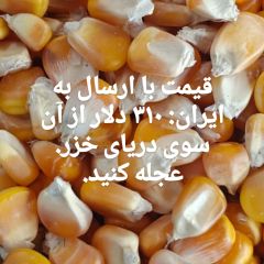 Corn, barley - Image 1