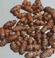 Turmeric Finger Turmeric Ground Turmeric Powder Turmeric Whole Organic Turmeric Powder - Image 1