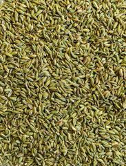 Fennel Seeds Fennel Seed Sweet Fennel Sweet Fennel Seeds Fennel Whole Fennel Whole Fennel Seeds Dried Fennel Seeds Fenne - Image 6
