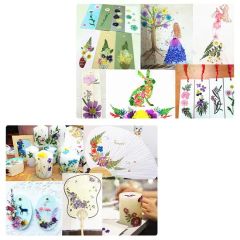 Wholesale Children's Flower Press Natural Crafts Wooden Art Kits Outdoor Learning Toys DIY Flower Press Kit - Image 3
