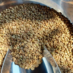 Premium coffee bean green product European Coffee Beans Green Control coffee beans - Vietnam roasted for importers companies - Image 5