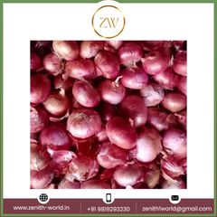 Best Quality Fresh Organic Nutritional And Natural Fresh Red Onion At Wholesale Buy Now at Low Price - Image 2