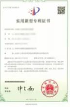 Patent Certificate certificate from Apex Technologies