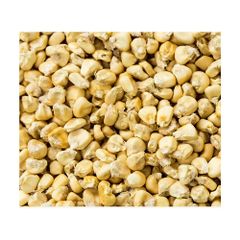 Wholesale yellow corn stocked for continuous bulk procurement and resale – product photo 4, product detail gallery