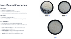 IRRI Rice - Image 1