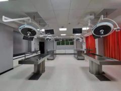 Electric Operating Light Shadowless Surgical Lamp for Pet Hospital Examination and Surgery - Qufu Lekang Medical Technology Group Co., Ltd.