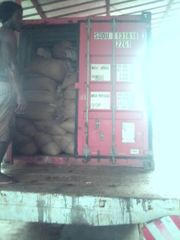 Robusta coffee beans – product photo 1, product detail gallery
