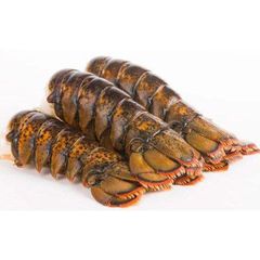 Bulk Top Grade Live Lobster / Lobster Tails For Sale. - Image 3