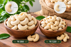 Premium Quality Cashew Kernels (WW180, WW210, WW240, WW320 & W450) at Competitive Prices - Image 2