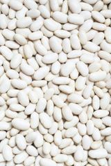White kidney Beans Origin Egypt Packing Material Pp Packing Bag Weight 25-50 Kg Per Bag Storage Condition Dry Store Calibre 180-200 / 200-220 Seed In 100 - Image 1