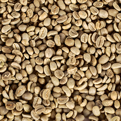 COFFEE BEANS FOR SALE AT FOOD PRICE RATES – product photo 2, product detail gallery