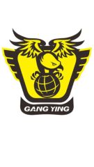 Foshan Gangying Abrasives Co., Ltd.