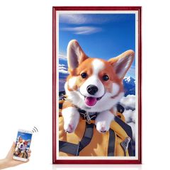 Widescreen Wall Mount Digital Photo Frames with Remote Control - Image 1