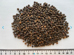 Sinhal Black Pepper Whole, Premium | India | Piper nigrum | king of spices | – product photo 3, product detail gallery