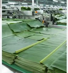 Banana leaf – product photo 2, product detail gallery