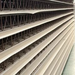 Honglu Green Building Steel Truss Matched with Eco-Friendly Decking for Sustainable Commercial Floor Project Implementation - Anhui Honglu Steel Construction(Group)Co., Ltd