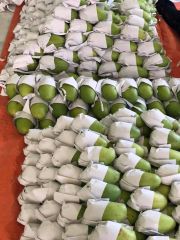 Fresh MangoPremium Quality Mango 100% Fresh Fruits - Linda Whatsap 0084 989 322 607 – product photo 3, product detail gallery