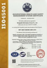 Certificate4 certificate from Wenzhou Kangtuo International Trading Co., Ltd.