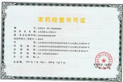 Pesticide business license certificate from Shandong Yinglang Chemical Co., Ltd