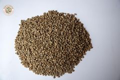 ARABICA COFFEE BEANS - Image 2