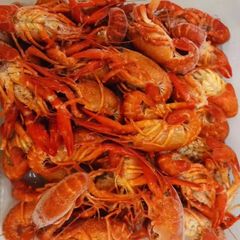Frozen Norwegian Prawns IQF Premium Quality Wild Caught Sweet Flavor Seafood for Wholesale and Retail - Image 2