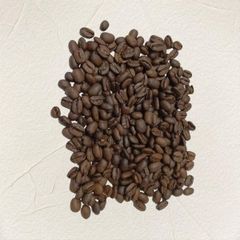 Famously Premium First Grade Wild Civet Arabica Coffee Beans Whole Bean Caffeinated Luwak Coffee from Indonesia - Image 5