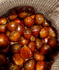 Fresh Chestnut - Image 4