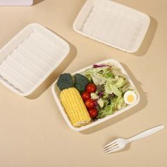 100% Compostable Disposable Cornstarch Tray Biodegradable Compostable Food Tray - Image 1