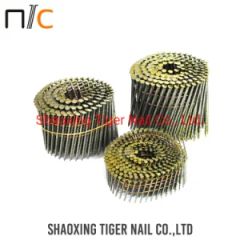 Coil Nail2.5 (6.2) for Stapler Material Steel Model NO. STAPLE HS Code 7317000000 Trademark TIGER NAIL Origin China Mainland - Shaoxing Tiger Nail Co., Ltd.